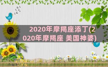 2020年摩羯座添丁(2020年摩羯座 美国神婆)